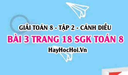 Bài 3 trang 18 Toán 8 Tập 2 Cánh Diều